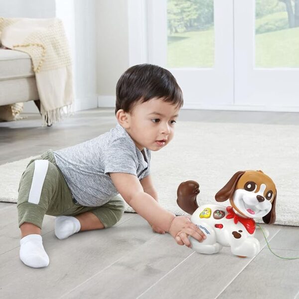 V-Tech Walk and Woof Puppy Toy