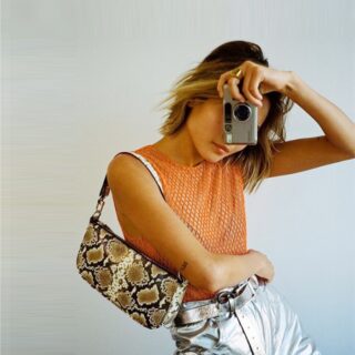Celebrity hand bag