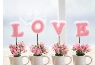 Home Furnishing decoration
