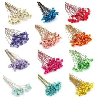 Dry Flower DIY Jewlery