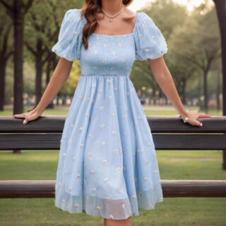 Mesh Embroidered Puff Sleeve Waist-tight Skirt Dress