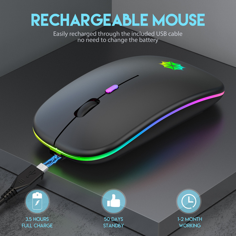 Mouse